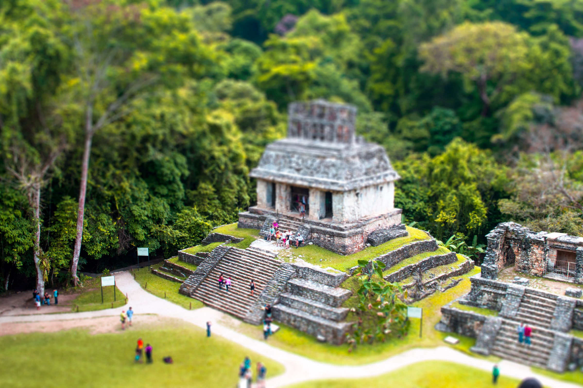 palenque (2).webp
